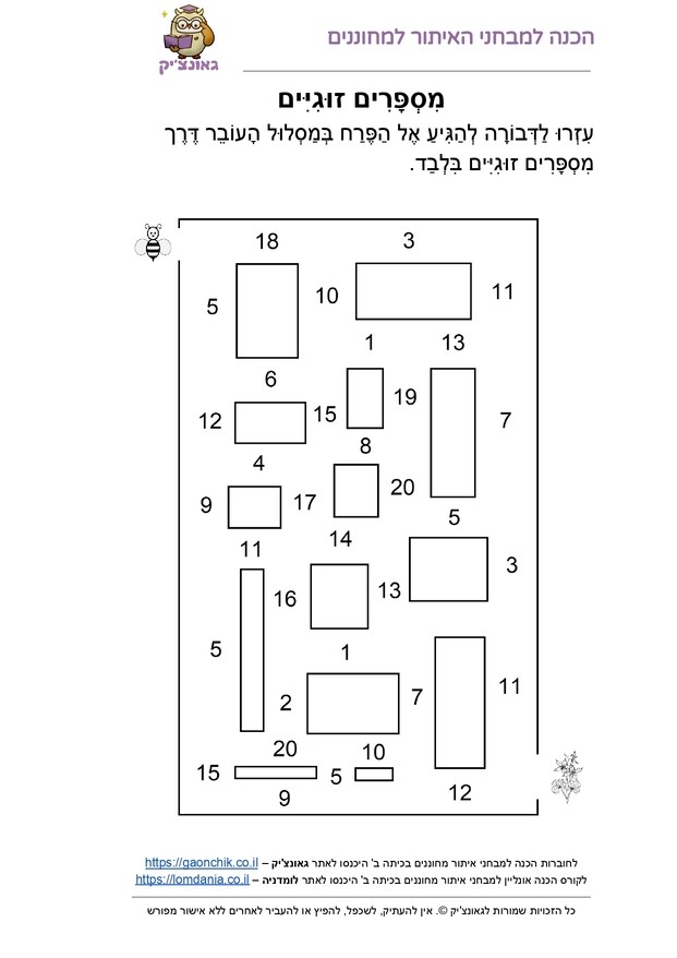 מבוך מספרים זוגיים - דפי עבודה עם תרגילים בחשבון או עברית לכיתה ב או לכיתה ג PDF להדפסה מתנת אתר גאונצ'יק
